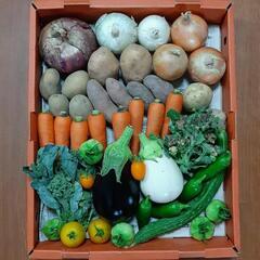 野菜のサブスク始めました🍆🍅