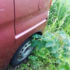 ダイハツ　タント4wD 車検2年付の画像