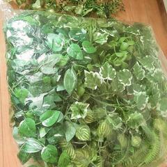 🌟フェイクグリーン🌟の画像