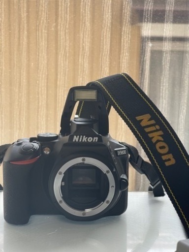 Nikon D5600