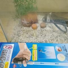 水槽と小物セット