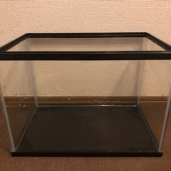 黒フレーム40cm水槽