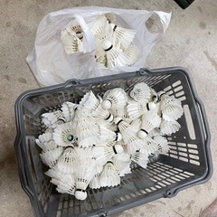 使用済みシャトル。受け渡し先決定しました。