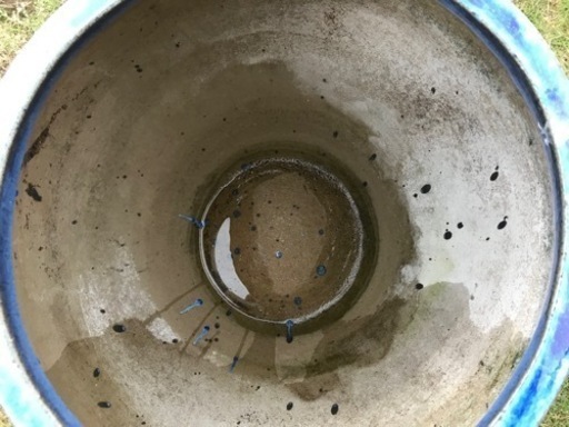 ※終了※巨大な壺　花瓶？　水瓶？