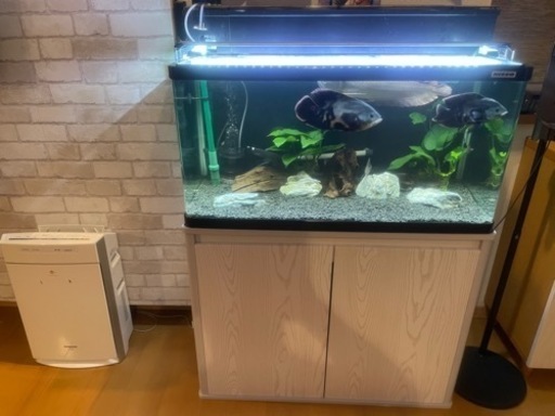 水槽一式
