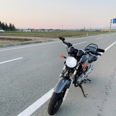 ybr250 決まりましたの画像