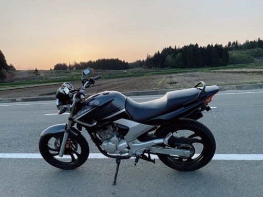 ybr250 決まりました