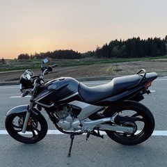 ybr250 決まりました