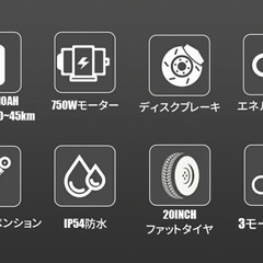 SUNPIE フル電動自転車・電動アシスト自転車の画像