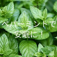 ペパーミントで快眠に！