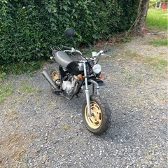 357.  動画あり　ホンダ　エイプ50  APE   原付　バ...