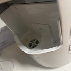 Panasonic ナノケア　スチーマーの画像