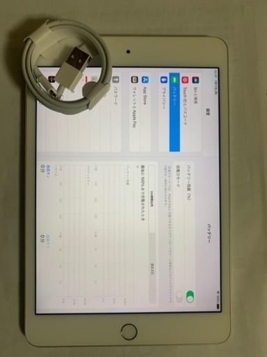 iPad mini4 +ケーブル　正常動作品