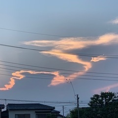 占い初心者の会 - 友達