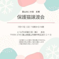 ７月１７日(日)保護猫譲渡会