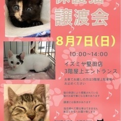 保護猫譲渡会　8/7