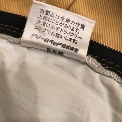 ウオーターベッド　セミダブル　ドリームベッド社製の画像