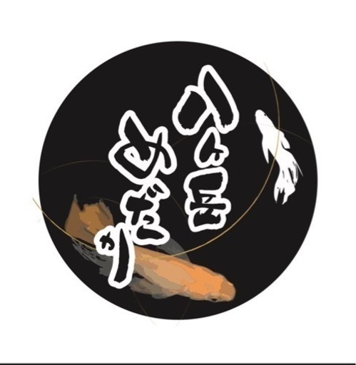 雨のため自宅販売します！メダカ7月12日