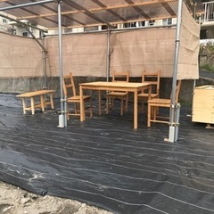 🍅見学会&夏野菜収穫体験（無料）「岸和田南農園」🍅 - 貝塚市