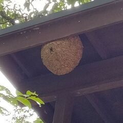 甲府市 バッテリー上り  地元業者ならここ！　山梨県、緊急出動してます 899 - 生活トラブル