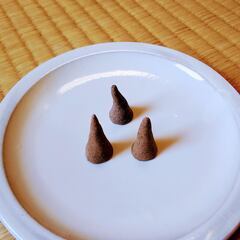 夏休み親子で　蚊取り線香作り体験の画像