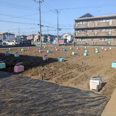 稲毛町の畑で家庭菜園をしませんか？その日から借りれます！