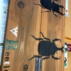 カブト虫飼育ケース。の画像