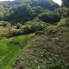 単発　日払い　登録だけでも。お互い時間の合うときに