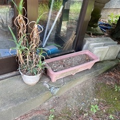 植木鉢、プランター