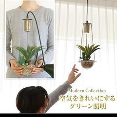 オシャレ照明の画像