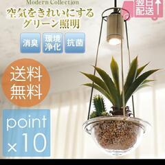 オシャレ照明の画像