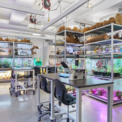 トランスフォマティブ社会とポストデジタルの軌跡　松本良多 セミナーの画像