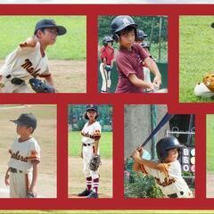 少年野球低学年メンバー募集。無料体験会随時開催。 - 船橋市