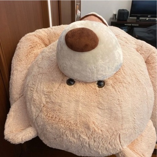 コストコ　クマ