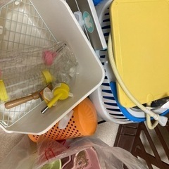 うさぎ用品