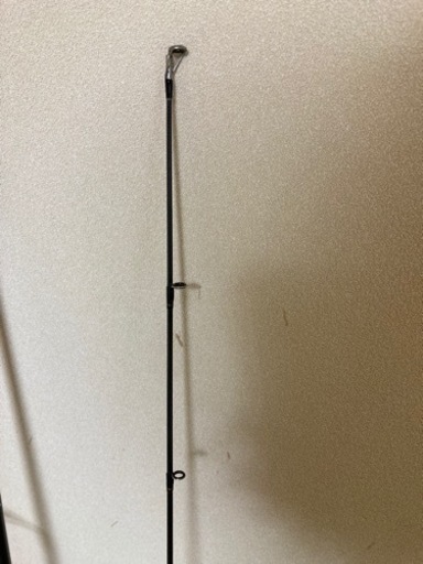 【期間限定値下げ中】【釣竿】DAIWA ルアーニスト 96M 9.6ft 2.9m 二本継【ケース付き】