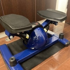 ツイストステッパーの画像
