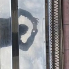 2トン　フロントバイザー　決まりましたの画像