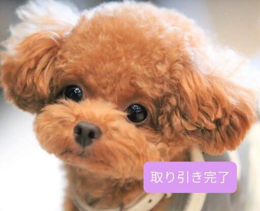 壁飾り