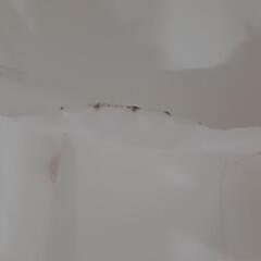 遮光カーテン　レースカーテンの画像