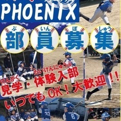 チームメンバー募集中