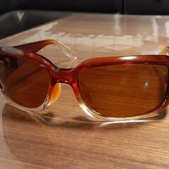 ブラックフライ★偏光★サングラス