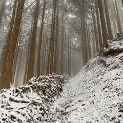 平日登山一緒にいってくれる方募集しています
