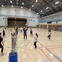 エンジョイ体育館バレー🏐3月20日(水祝)夕方🏐田町 - スポーツ