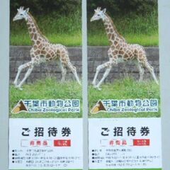 千葉市動物公園無料チケット（大人2枚）
