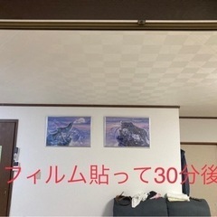 防虫フィルム✨ - リフォーム
