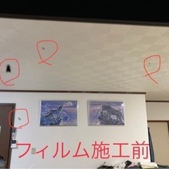 防虫フィルム✨ - 佐世保市