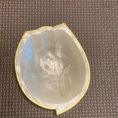 小物入れ　貝殻風