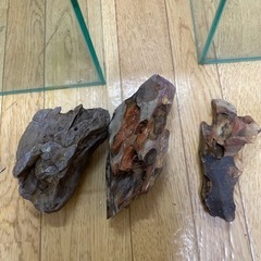 30センチ水槽セットの画像