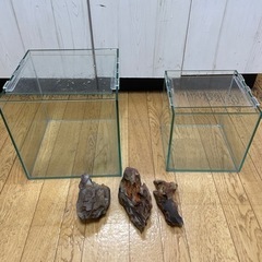 30センチ水槽セット